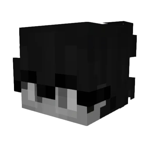 WINSITY Minecraft avatar head, 3D render