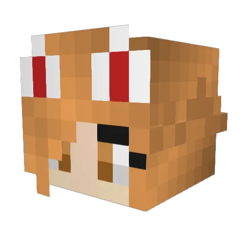 WINTRADERXD Minecraft avatar head, 3D render