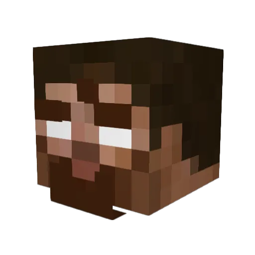 WINWINDACAT Minecraft avatar head, 3D render