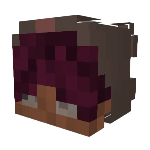WISHZER0 Minecraft avatar head, 3D render