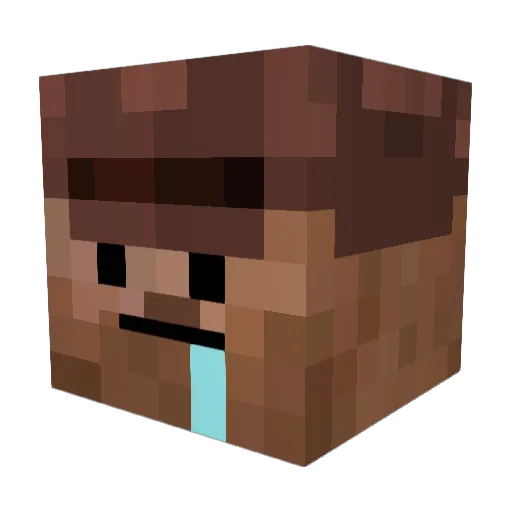 WITCHD0C Minecraft avatar head, 3D render