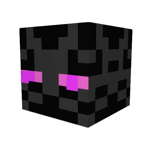 WITHER_GAMER_25 Minecraft avatar head, 3D render