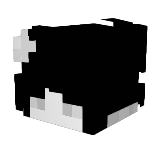 WITHERvdk Minecraft avatar head, 3D render