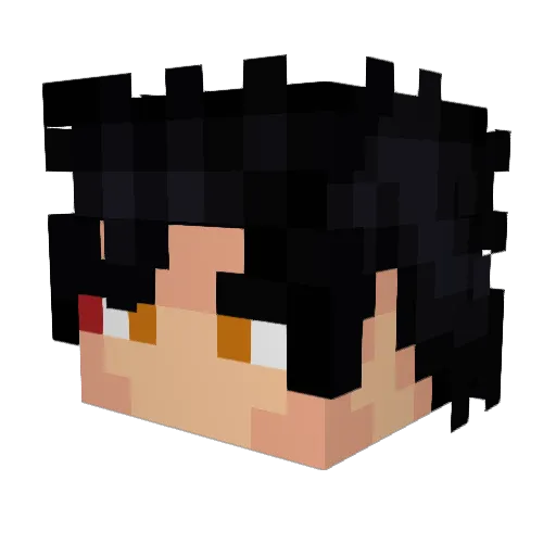 WITT76 Minecraft avatar head, 3D render