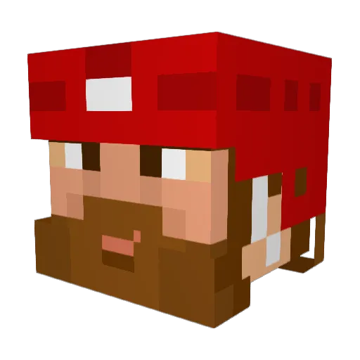 WIZ13 Minecraft avatar head, 3D render