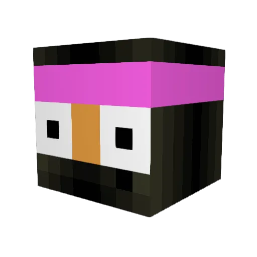 WIZARDH4X0R Minecraft avatar head, 3D render