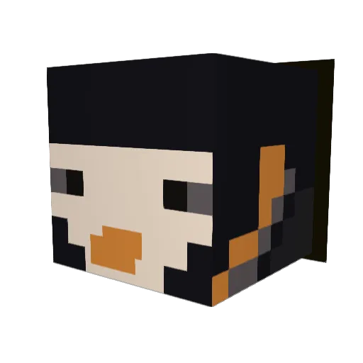 WIZIXS Minecraft avatar head, 3D render