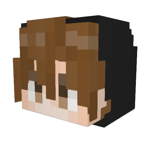 WI_LK Minecraft avatar head, 3D render