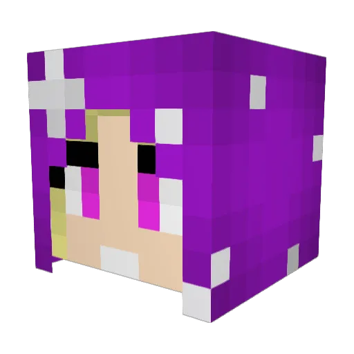 WIizzard93 Minecraft avatar head, 3D render