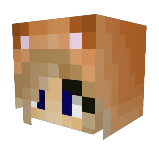 WIlliamsteam Minecraft avatar head, 3D render
