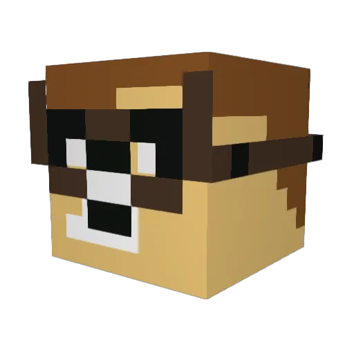 WIllyee22 Minecraft avatar head, 3D render