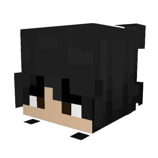 WInsr Minecraft avatar head, 3D render