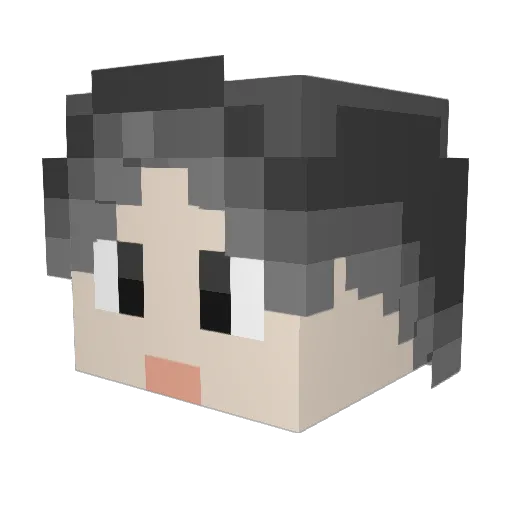 WJBY Minecraft avatar head, 3D render