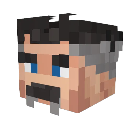 WJR09 Minecraft avatar head, 3D render