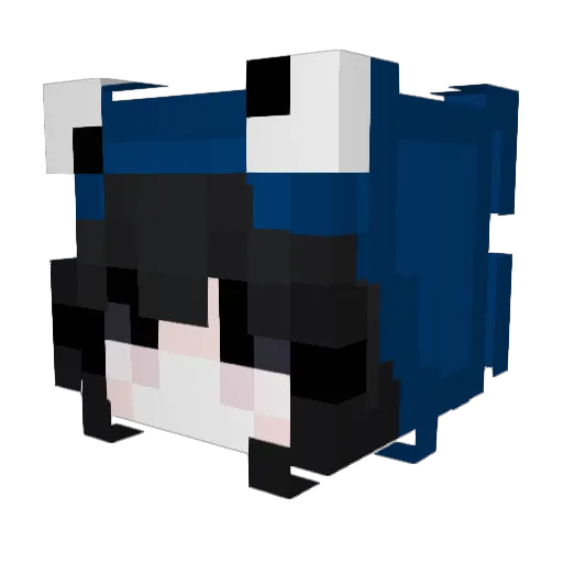 WJSRLAHWK Minecraft avatar head, 3D render