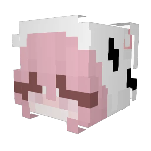 WJ_X Minecraft avatar head, 3D render