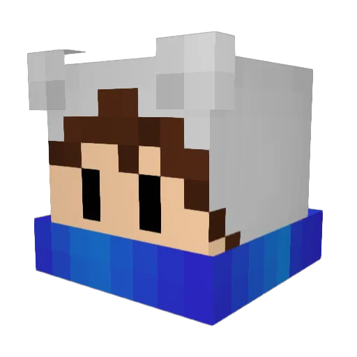 WKLAM Minecraft avatar head, 3D render