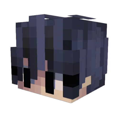 WKnamer Minecraft avatar head, 3D render