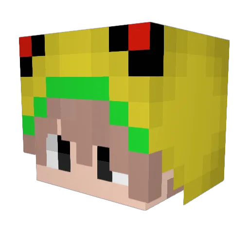 WLK_xNoname Minecraft avatar head, 3D render