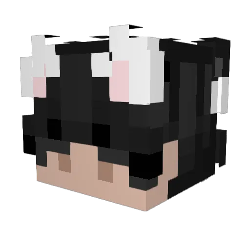 WLPZaBest10 Minecraft avatar head, 3D render