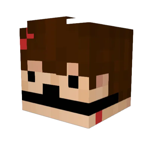 WLTH Minecraft avatar head, 3D render