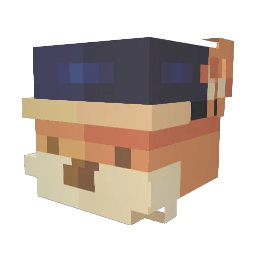 WLZ_SA Minecraft avatar head, 3D render