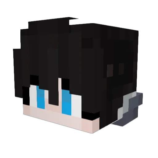 WL_ZJ Minecraft avatar head, 3D render