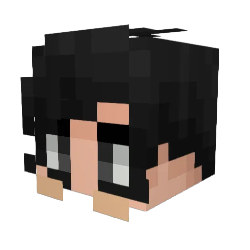 WMANNNNN Minecraft avatar head, 3D render