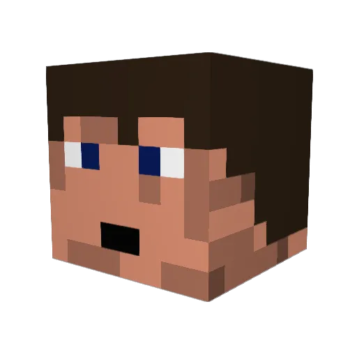 WMWMWMWMWMWMWMWM Minecraft avatar head, 3D render