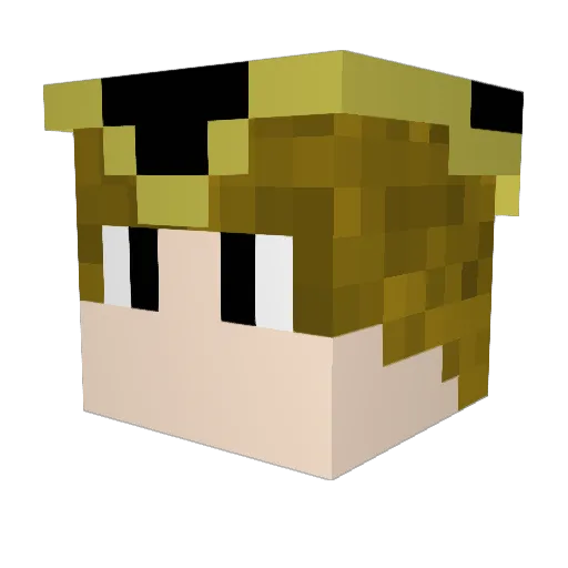WMaestro99 Minecraft avatar head, 3D render