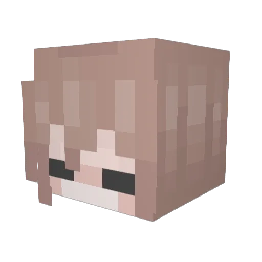 WNDERFVL Minecraft avatar head, 3D render