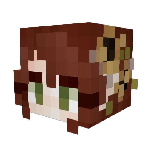 WNDPF1825 Minecraft avatar head, 3D render