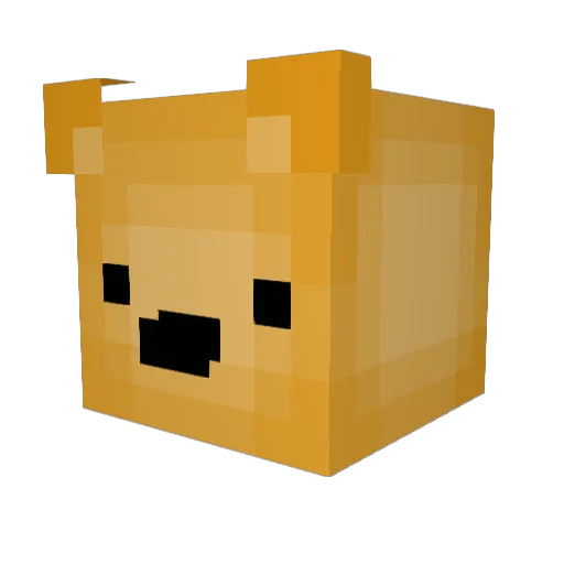 WNRSwasTAKEN Minecraft avatar head, 3D render