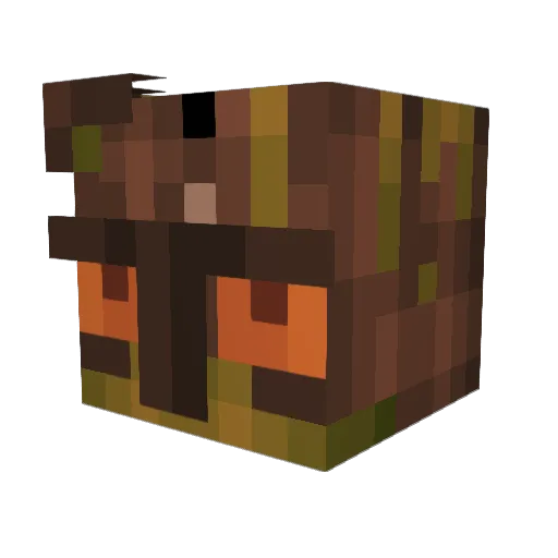 WN_TreeBeard Minecraft avatar head, 3D render