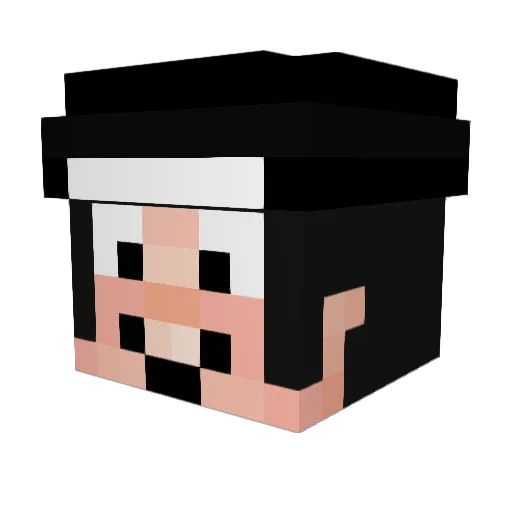 WO0L4 Minecraft avatar head, 3D render