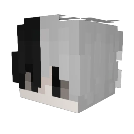 WOAALSDL Minecraft avatar head, 3D render