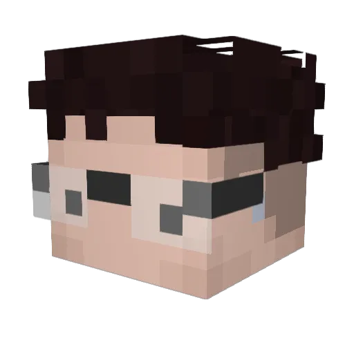 WOAT_ Minecraft avatar head, 3D render