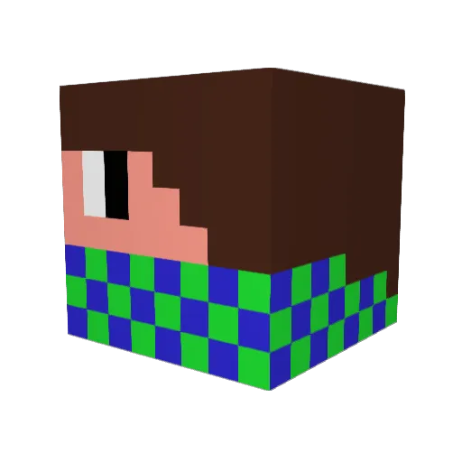 WOLFCRAFTER111 Minecraft avatar head, 3D render