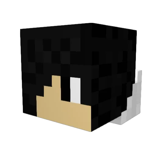 WOLFE272 Minecraft avatar head, 3D render