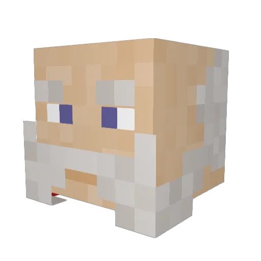 WOLFI983 Minecraft avatar head, 3D render