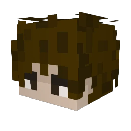 WOLFYK9 Minecraft avatar head, 3D render