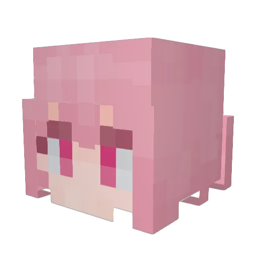 WONDER_EMU Minecraft avatar head, 3D render