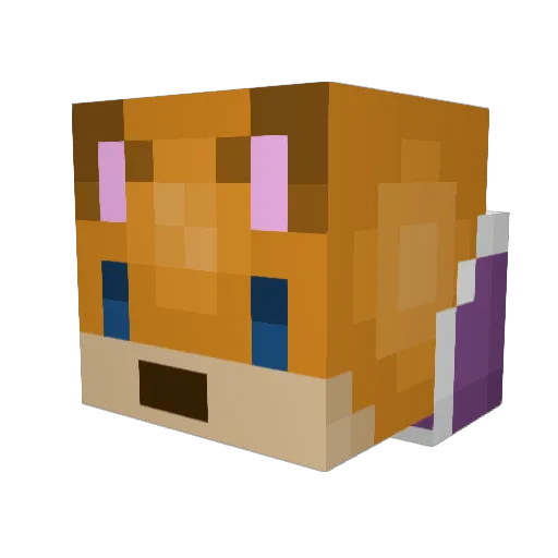 WONGOCAT Minecraft avatar head, 3D render