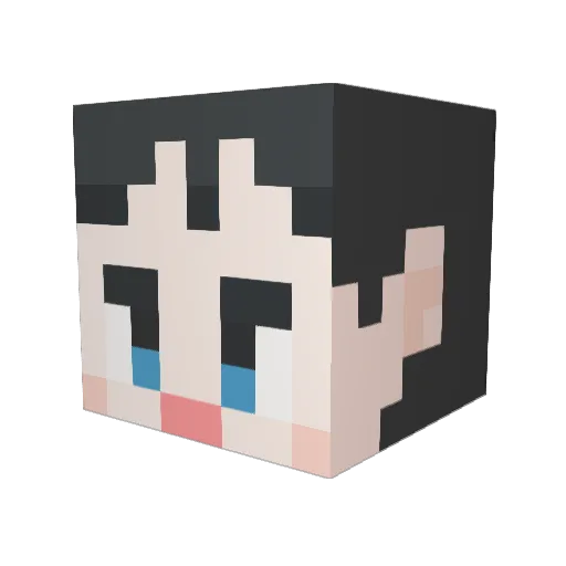 WONNNY Minecraft avatar head, 3D render