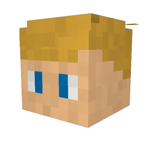 WONTONrice Minecraft avatar head, 3D render