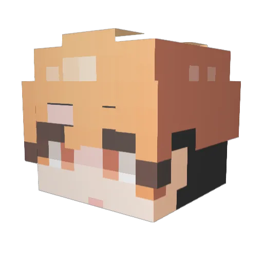 WOO00ng Minecraft avatar head, 3D render