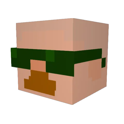 WOOBALOO Minecraft avatar head, 3D render