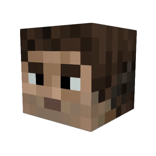 WOOBLY Minecraft avatar head, 3D render