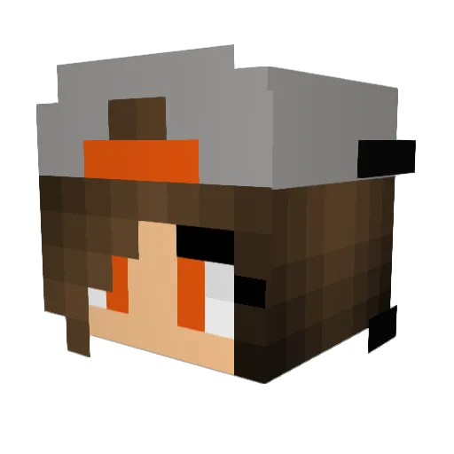 WOODEN_CHEESE Minecraft avatar head, 3D render