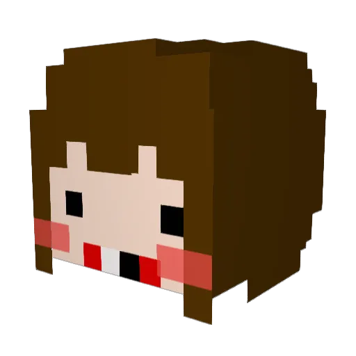 WOOONS Minecraft avatar head, 3D render